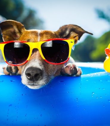 iStock-176230653