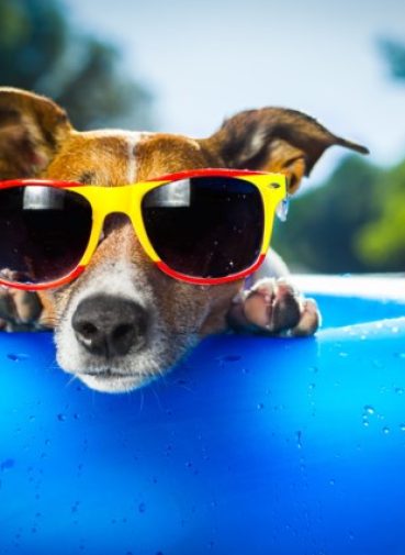iStock-176230653