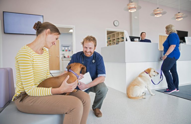 dierenkliniek